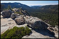 Redwood Canyon seen from Buena Vista. Kings Canyon National Park, California, USA. (color)