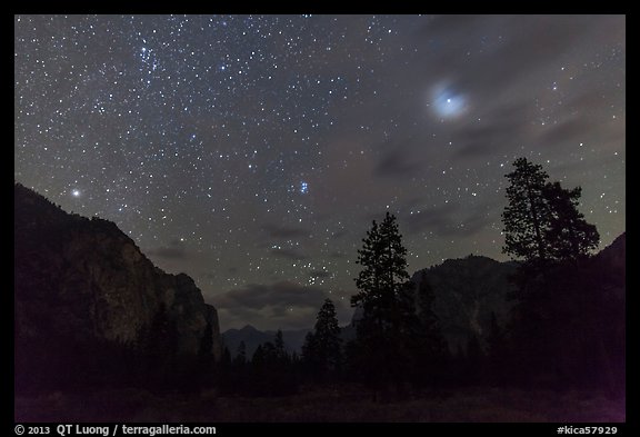 Trees and cliffs at night, Cedar Grove. Kings Canyon National Park, California, USA.