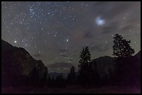 Trees and cliffs at night, Cedar Grove. Kings Canyon National Park, California, USA.