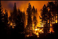 Forest fire. Kings Canyon National Park ( color)