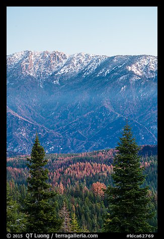 Tombstone Ridge at dawn in autumn. Kings Canyon National Park (color)