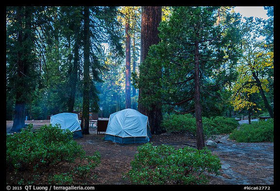 Azalea Campground. Kings Canyon National Park, California, USA.