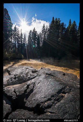 Meadow and sun see from top of Mark Twain Stump. Kings Canyon National Park (color)