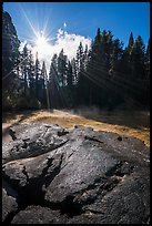 Meadow and sun see from top of Mark Twain Stump. Kings Canyon National Park ( color)