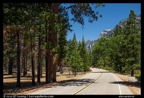 Cedar Grove Road. Kings Canyon National Park (color)