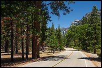 Cedar Grove Road. Kings Canyon National Park ( color)