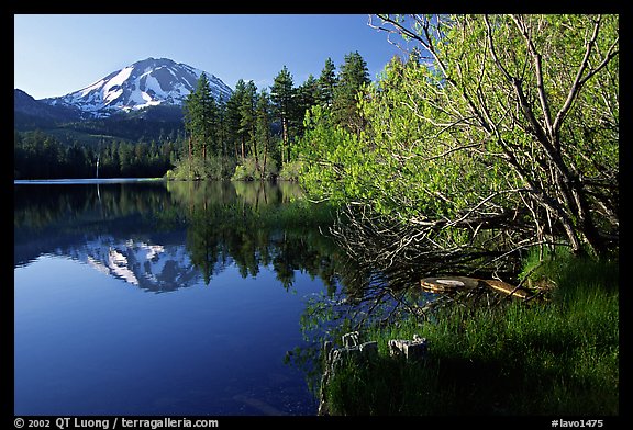 Manzanita lake and Mount Lassen in spring, morning. Lassen Volcanic National Park (color)