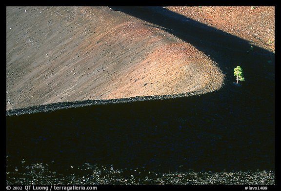 Curve and pine on top of Cinder cone, early morning. Lassen Volcanic National Park (color)