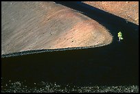 Curve and pine on top of Cinder cone, early morning. Lassen Volcanic National Park ( color)