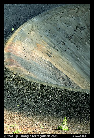 Pines and crater on top of Cinder cone, early morning. Lassen Volcanic National Park, California, USA.