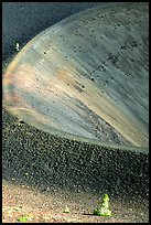 Pines and crater on top of Cinder cone, early morning. Lassen Volcanic National Park ( color)