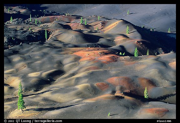 Painted dunes and pine trees. Lassen Volcanic National Park (color)