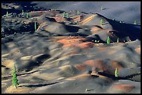 Painted dunes and pine trees. Lassen Volcanic National Park, California, USA.