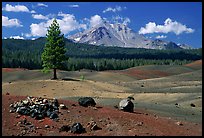 Painted dunes, pine tree, and Lassen Peak. Lassen Volcanic National Park ( color)