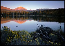 Manzanita lake and  Mount Lassen in late summer, sunset. Lassen Volcanic National Park ( color)