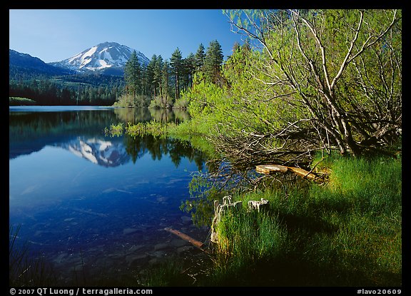 Lassen Peak reflected in Manzanita Lake, morning. Lassen Volcanic National Park (color)