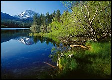 Lassen Peak reflected in Manzanita Lake, morning. Lassen Volcanic National Park, California, USA.