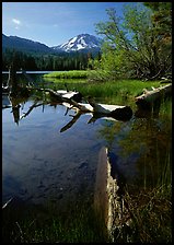 Manzanita Lake and Mount Lassen, morning spring. Lassen Volcanic National Park, California, USA. (color)