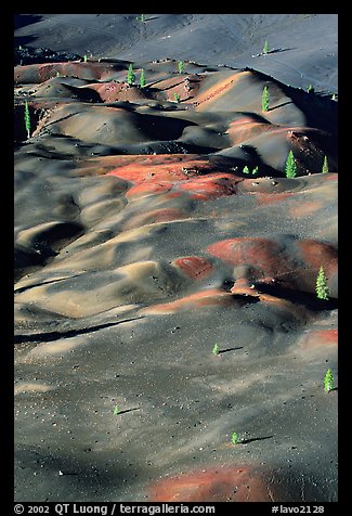 Painted dunes and pine trees. Lassen Volcanic National Park (color)