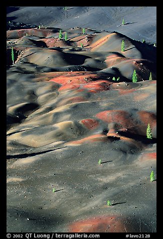 Painted dunes and pine trees. Lassen Volcanic National Park (color)