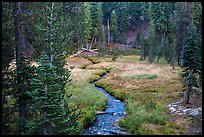 Kings Creek, meadow and forest. Lassen Volcanic National Park ( color)
