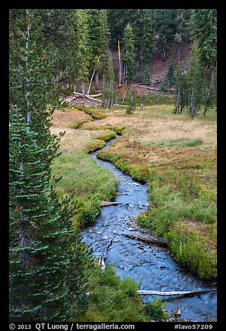 Kings Creek in meadow, late summer. Lassen Volcanic National Park (color)