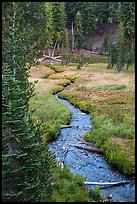 Kings Creek in meadow, late summer. Lassen Volcanic National Park ( color)