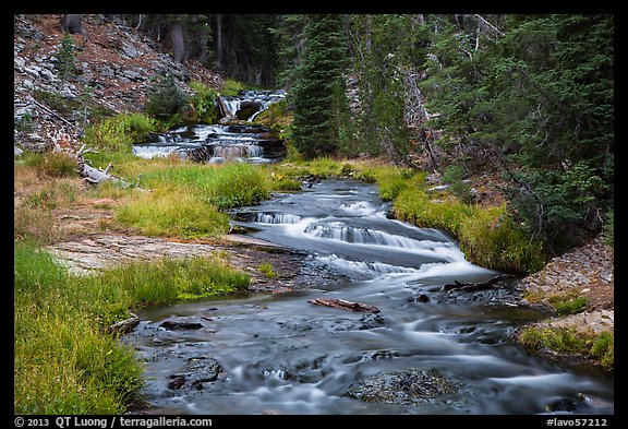Kings Creek cascades in forest. Lassen Volcanic National Park (color)