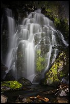 Kings Creek Falls at night. Lassen Volcanic National Park ( color)