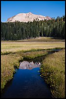 Lassen Peak reflected in Kings Creek stream. Lassen Volcanic National Park, California, USA.