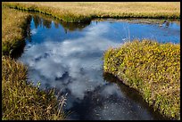 Cloud reflected in Kings Creek. Lassen Volcanic National Park ( color)