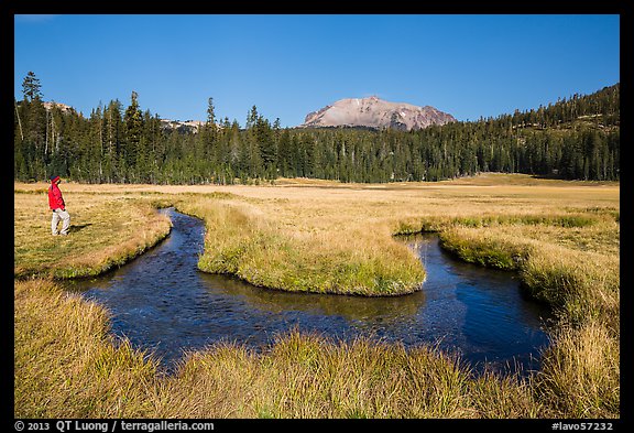 Visitor Looking, Upper Meadow and Lassen Peak. Lassen Volcanic National Park, California, USA.