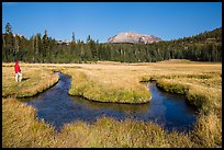 Visitor Looking, Upper Meadow and Lassen Peak. Lassen Volcanic National Park ( color)