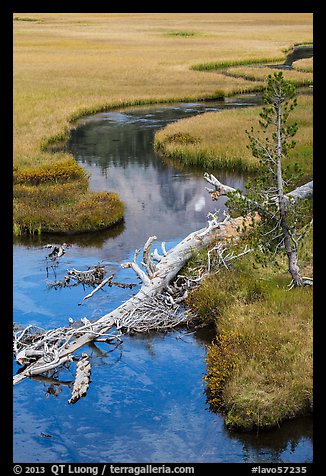 Fallen tree, stream, and meadow. Lassen Volcanic National Park (color)