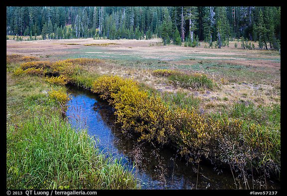 Stream in tree-bordered meadow. Lassen Volcanic National Park (color)