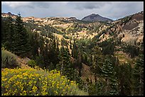 Little Hot Springs Valley. Lassen Volcanic National Park ( color)