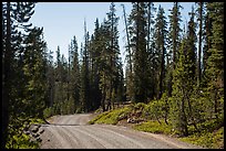 Gravel road. Lassen Volcanic National Park, California, USA.