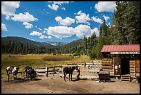 Corral, Drakesbad. Lassen Volcanic National Park ( color)