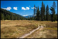 Trail, Warner Valley. Lassen Volcanic National Park, California, USA.