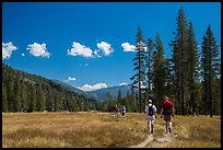 Hikers, Warner Valley. Lassen Volcanic National Park ( color)