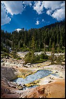 Devils Kitchen hydrothermal area. Lassen Volcanic National Park ( color)