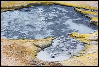 Mud pot, Devils Kitchen. Lassen Volcanic National Park, California, USA.