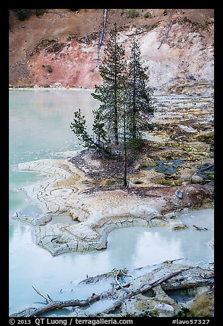 Shore of Boiling Springs Lake. Lassen Volcanic National Park, California, USA.