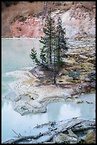 Shore of Boiling Springs Lake. Lassen Volcanic National Park, California, USA.