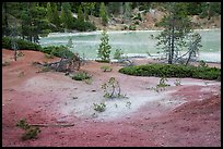 Red earth and greenish waters of Boiling Springs Lake. Lassen Volcanic National Park ( color)