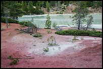 Red earth and greenish waters of Boiling Springs Lake. Lassen Volcanic National Park, California, USA.