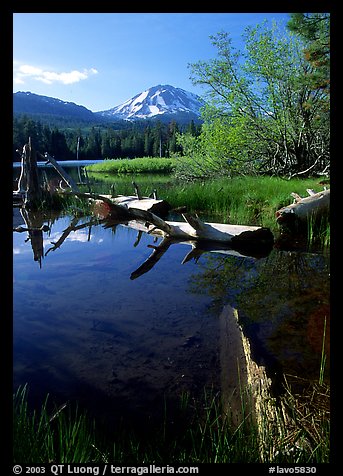 Manzanita Lake and Mount Lassen, morning spring. Lassen Volcanic National Park, California, USA.