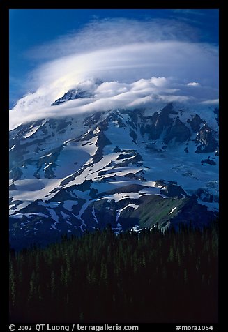 Mt Rainier with lenticular cloud. Mount Rainier National Park, Washington, USA.