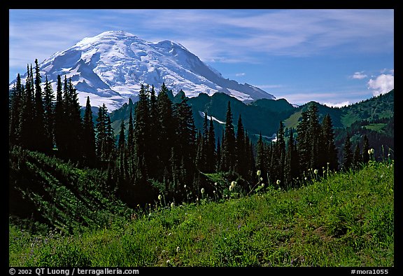 Mt Rainier from Tipsoo Lake area, afternoon. Mount Rainier National Park (color)