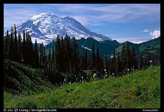 Mt Rainier from Tipsoo Lake area, afternoon. Mount Rainier National Park, Washington, USA.